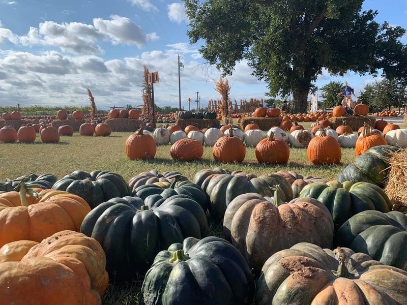 Denton Valley Farms (Clyde)
