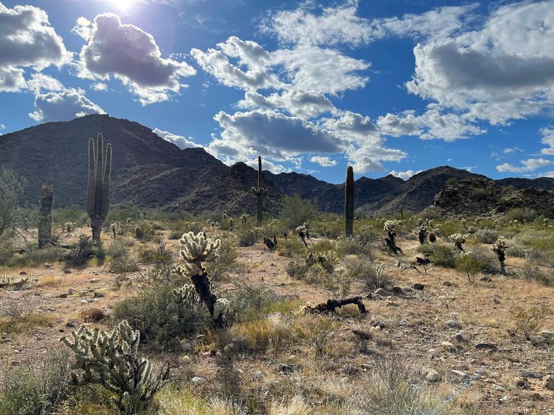 Desert Mountains With a 270-Degree Backdrop Desert Mountains With a 270-Degree Backdrop