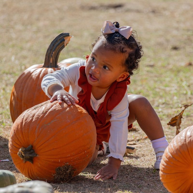 Dewberry Farm (Brookshire)