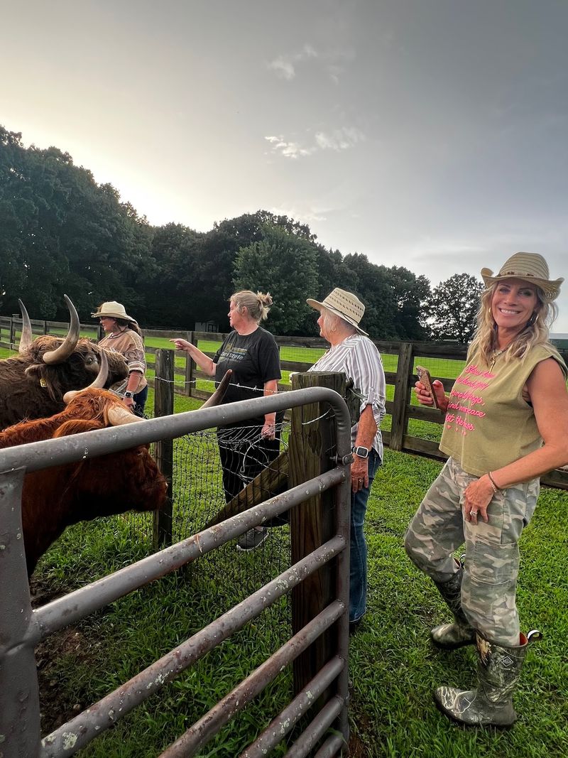 Grab A Brush And Help Groom The Herd