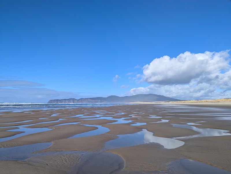 Dunes, Mudflats, and a Quiet Slice of Beach
