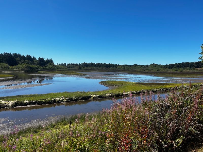 Eagles, Kingfishers, and a Long Bird List