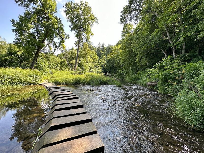Easy Paths Along the River