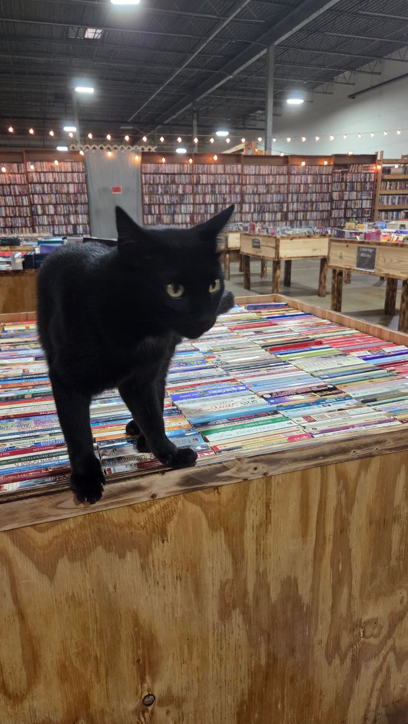 Edgar the Furriest Employee Edgar the Furriest Employee