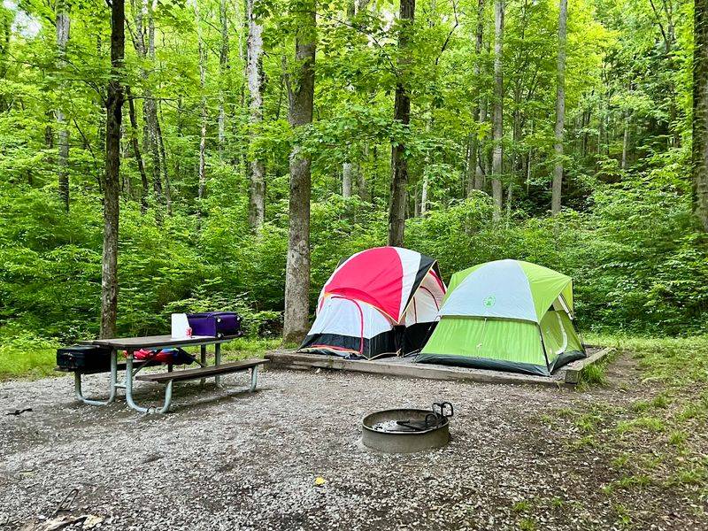 Elkmont Campground