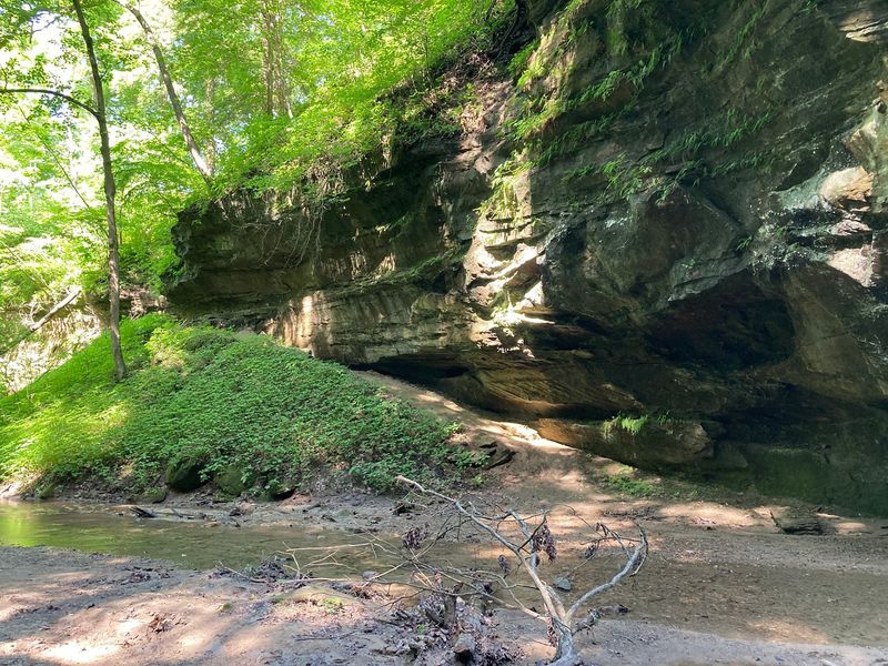 Turkey Run State Park (Marshall)