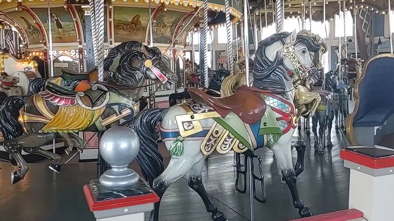 Every Horse Here Has A Name, So Pick Your Favorite Every Horse Here Has A Name, So Pick Your Favorite