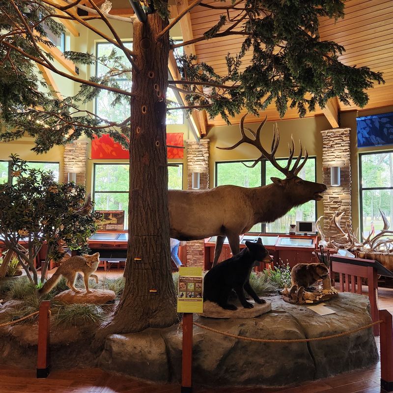Exhibits, Taxidermy, and a 4D Theater