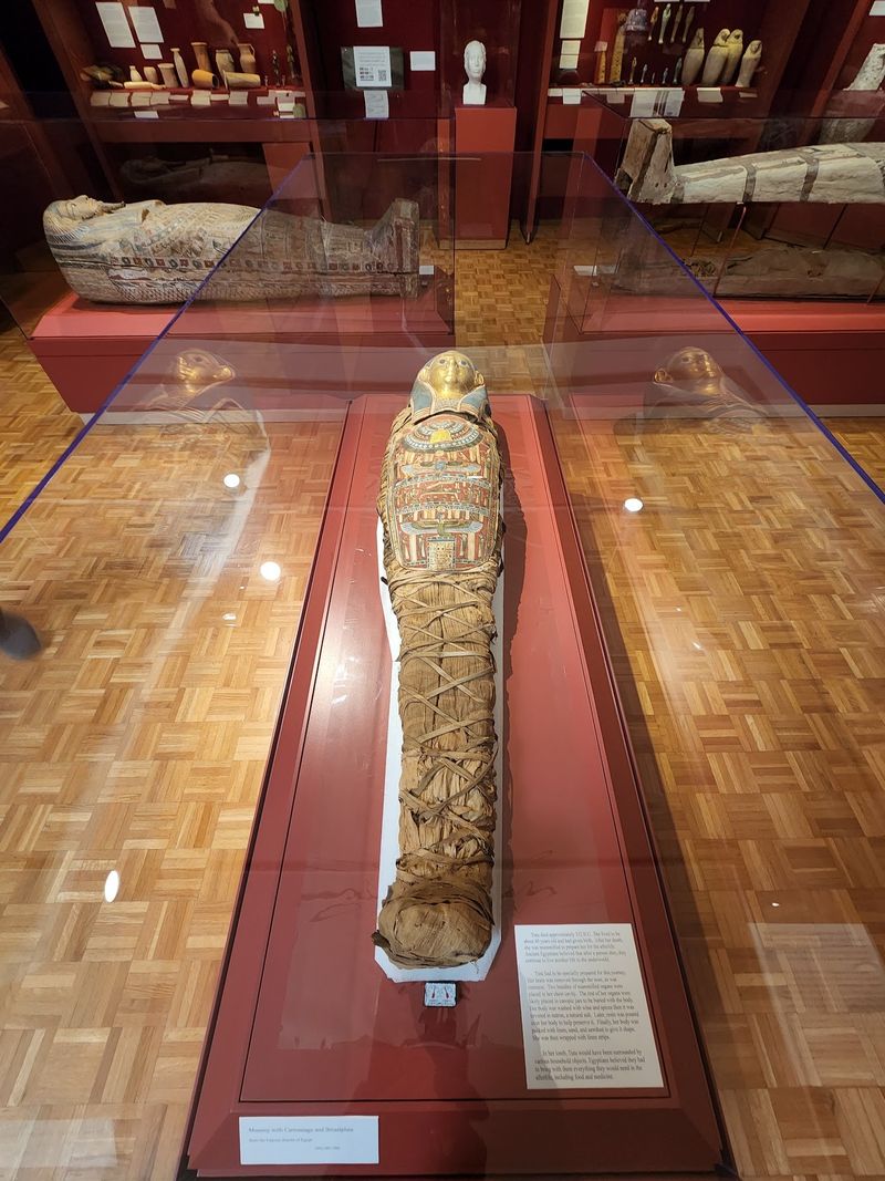 Face to Face With Egyptian Mummies Face to Face With Egyptian Mummies