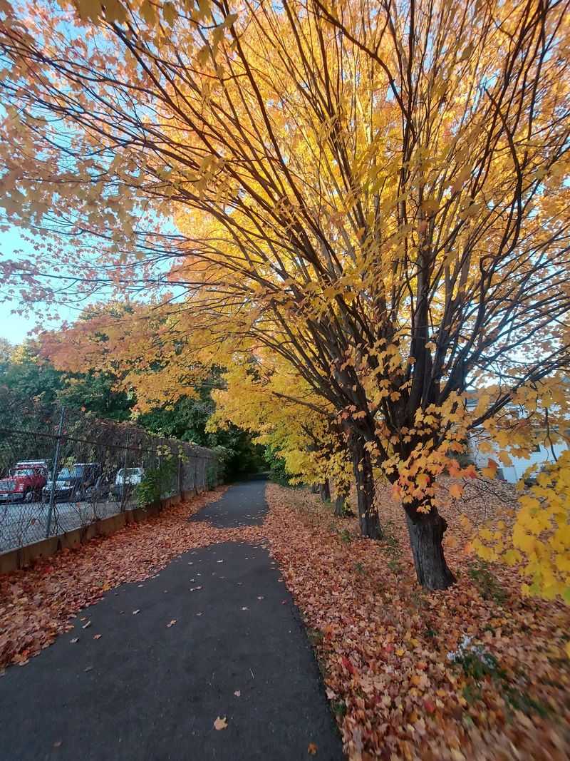 Fall Color Comes With a Slippery Catch Fall Color Comes With a Slippery Catch