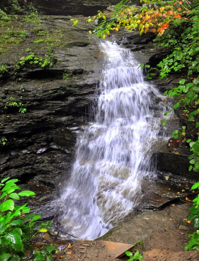 Falls Trail System at Ricketts Glen State Park, Benton