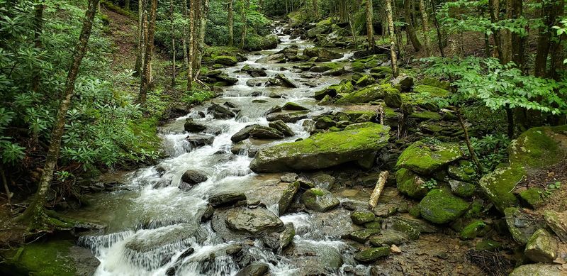 Falls Trail and Its Waterfall Reward