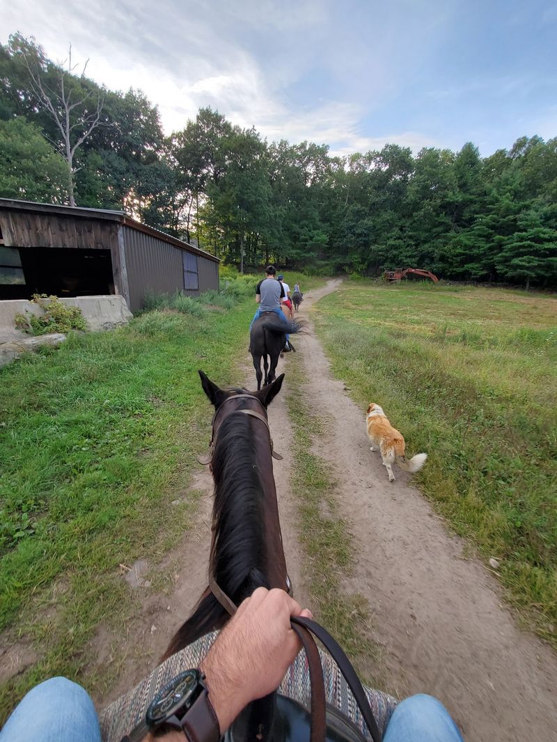 Family Roots Give This Ranch Its Warm Heart