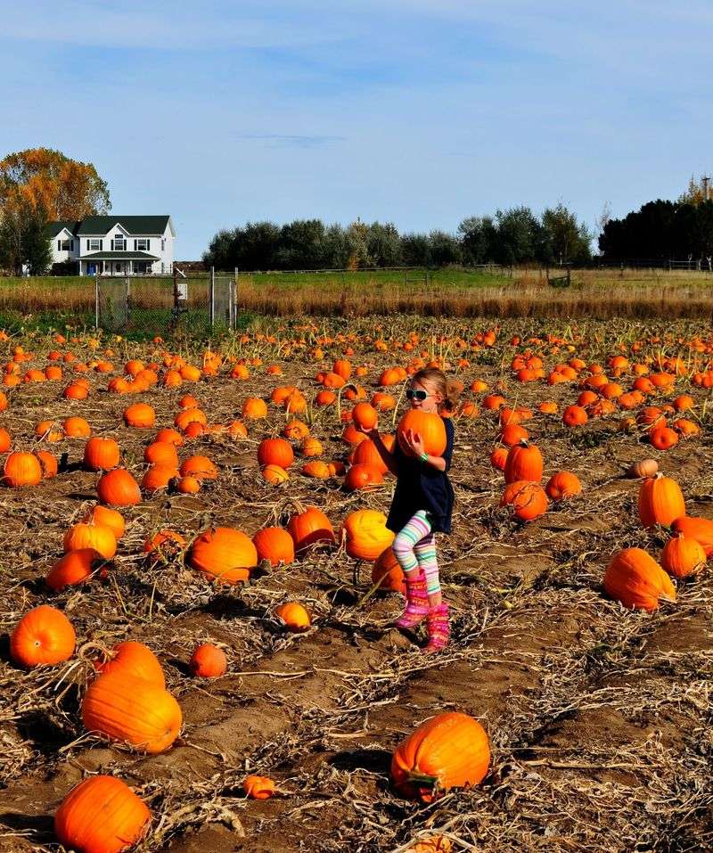 Family Traditions Grown in Erie Soil Family Traditions Grown in Erie Soil