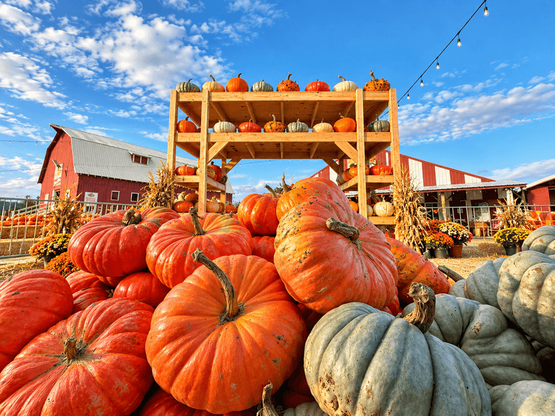 Farm Stands and U-Pick Season Farm Stands and U-Pick Season