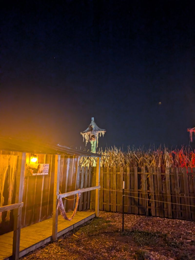 Field of Fear