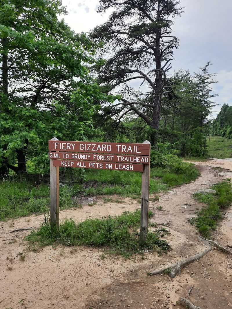 Fiery Gizzard Trail Fiery Gizzard Trail