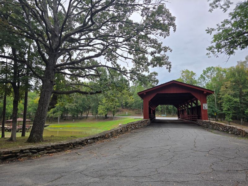 Finding the Bridge at the Back of Burns Park