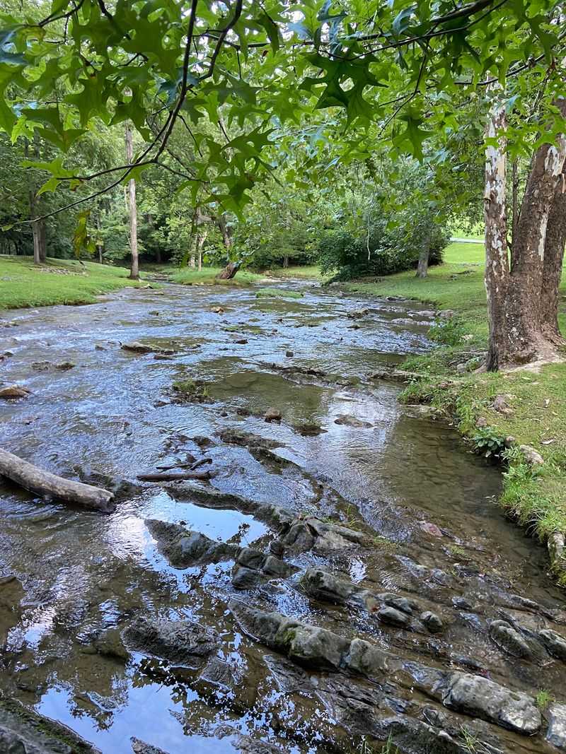 Fire Up The Grill And Throw A Party By The Creek Fire Up The Grill And Throw A Party By The Creek