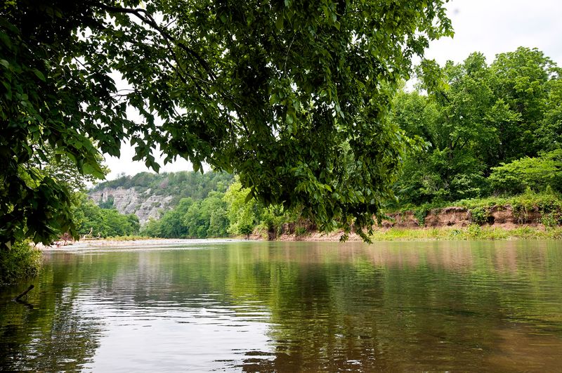 Fishing Bear Creek