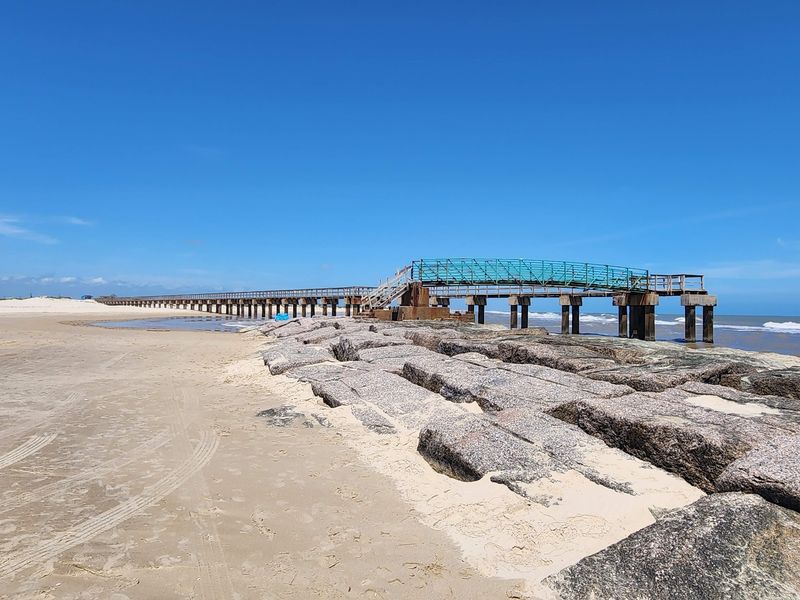 Fishing From Surf, Pier, and Marsh Fishing From Surf, Pier, and Marsh