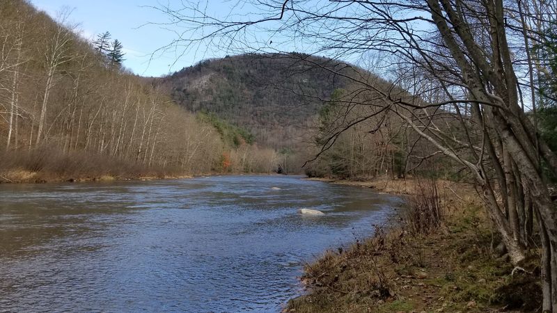 Flexible Plans Leave Room for Real Wildlife