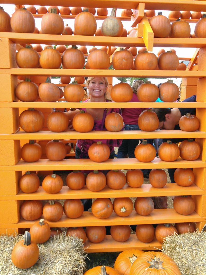 Flower Mound Pumpkin Patch (Flower Mound) Flower Mound Pumpkin Patch (Flower Mound)