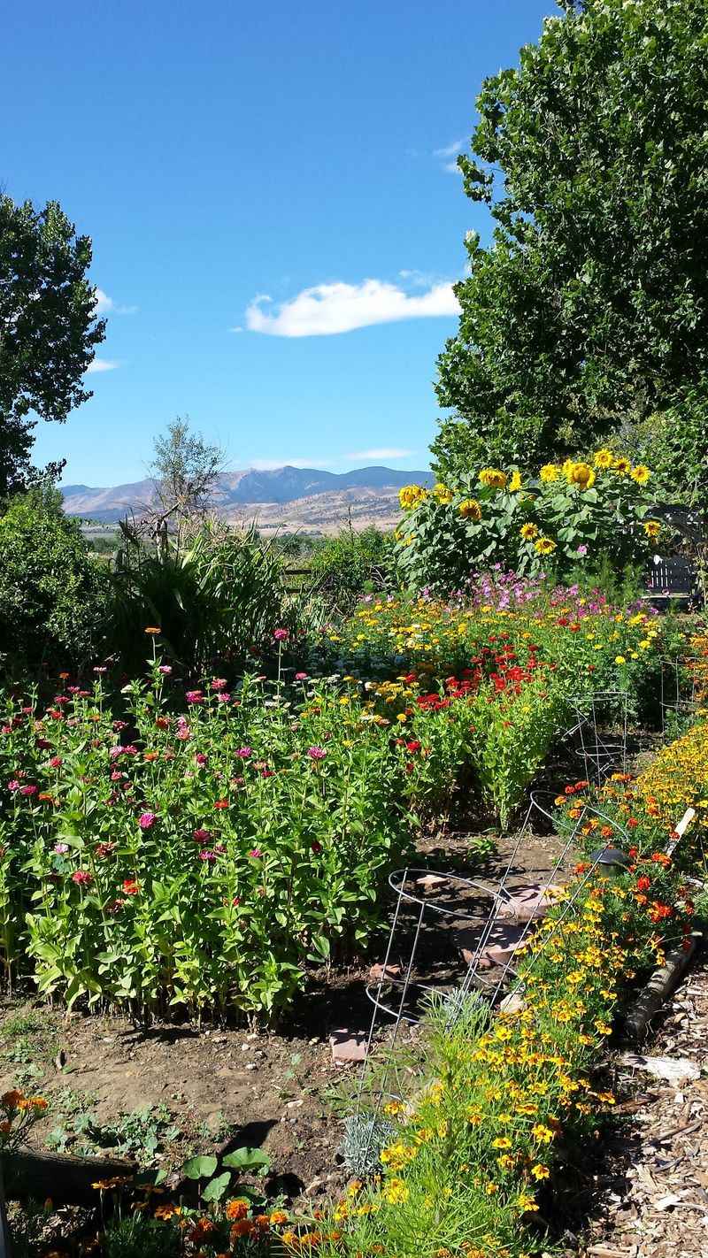 Flower Rows and Seasonal Events