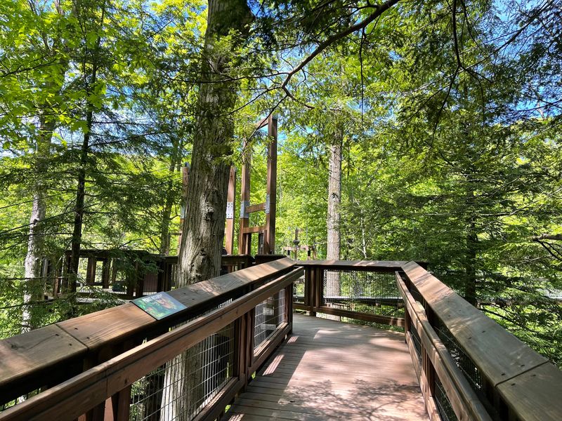 Follow Woodland Trails Beneath the Treetops Follow Woodland Trails Beneath the Treetops