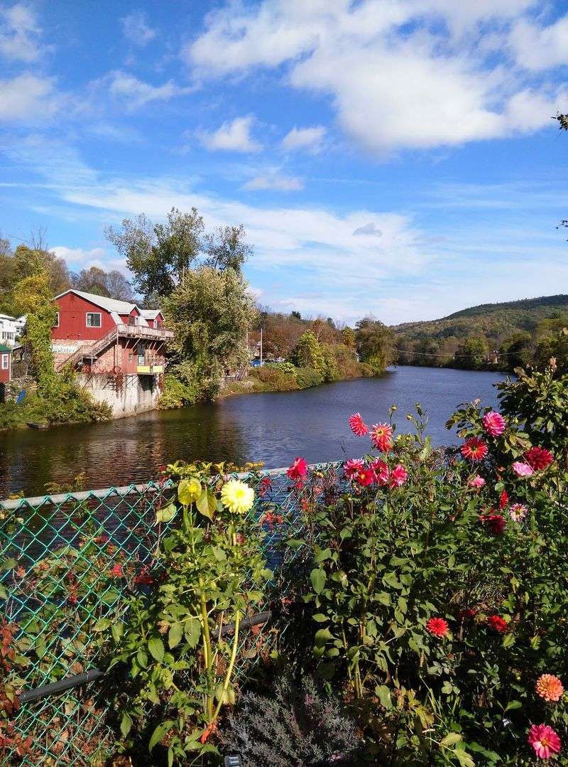 Follow the Blooms, Not Just the Leaf Forecast