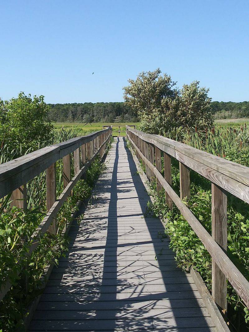 Follow the Boardwalk Toward the Marsh Follow the Boardwalk Toward the Marsh
