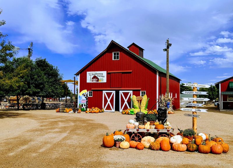 Food Trucks, the Farm Shop, and a Fond Farewell Food Trucks, the Farm Shop, and a Fond Farewell