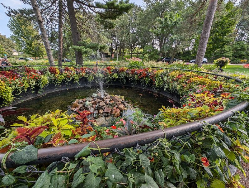 Fountains, Ponds, and Peacocks Fountains, Ponds, and Peacocks