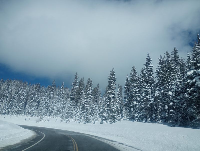 Four Seasons, Four Different Drives Four Seasons, Four Different Drives