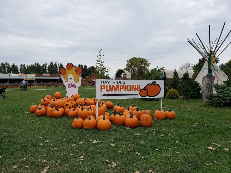Siegel’s Cottonwood Farm (Lockport) Siegel’s Cottonwood Farm (Lockport)
