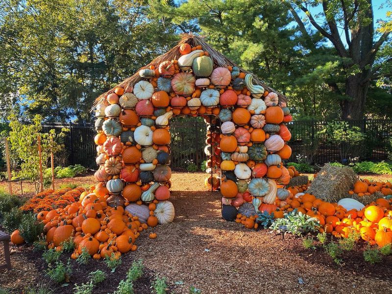 Franklin Park Conservatory and Botanical Gardens Pumpkins Aglow