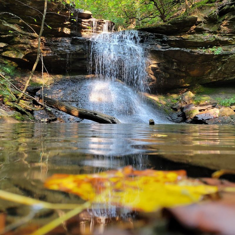 Franklin State Forest Is Best for Travelers Who Want Tennessee Without the Crowds Franklin State Forest Is Best for Travelers Who Want Tennessee Without the Crowds