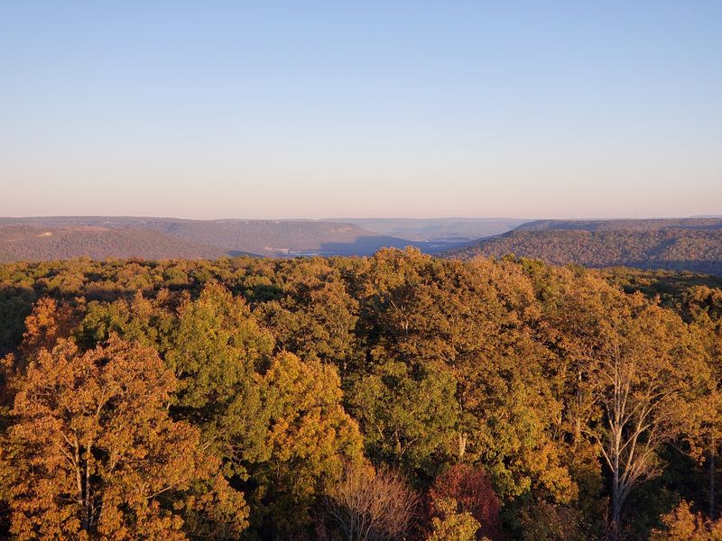 Franklin State Forest Is a Peaceful Escape in Southern Tennessee Franklin State Forest Is a Peaceful Escape in Southern Tennessee