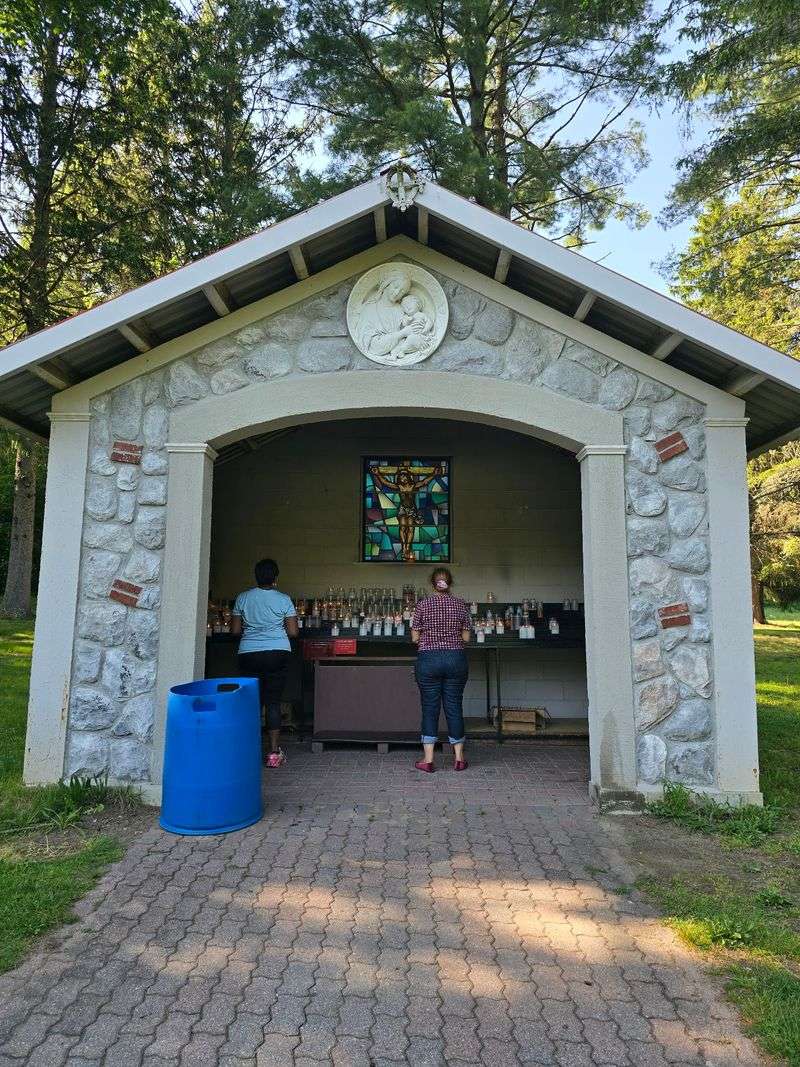 Free Admission and Optional Support