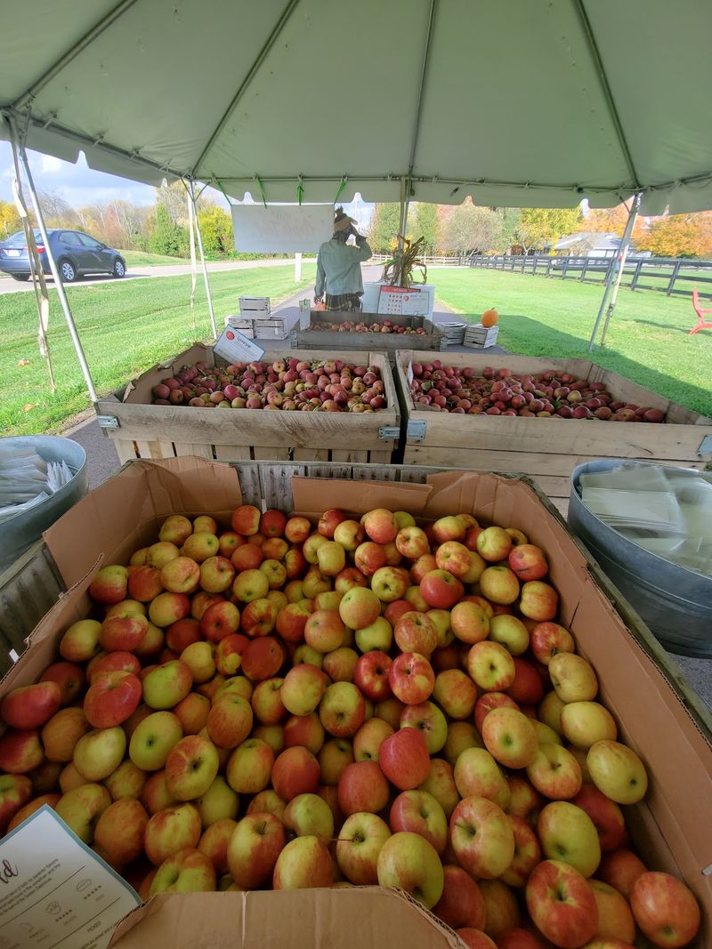 Fresh Cider Gets Made Right Here On The Farm