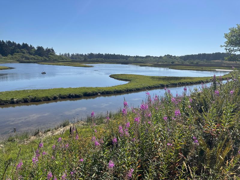 Fresh Water on One Side, Salt Marsh on the Other