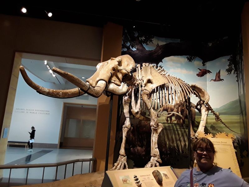 Friendly Faces Behind the Exhibits