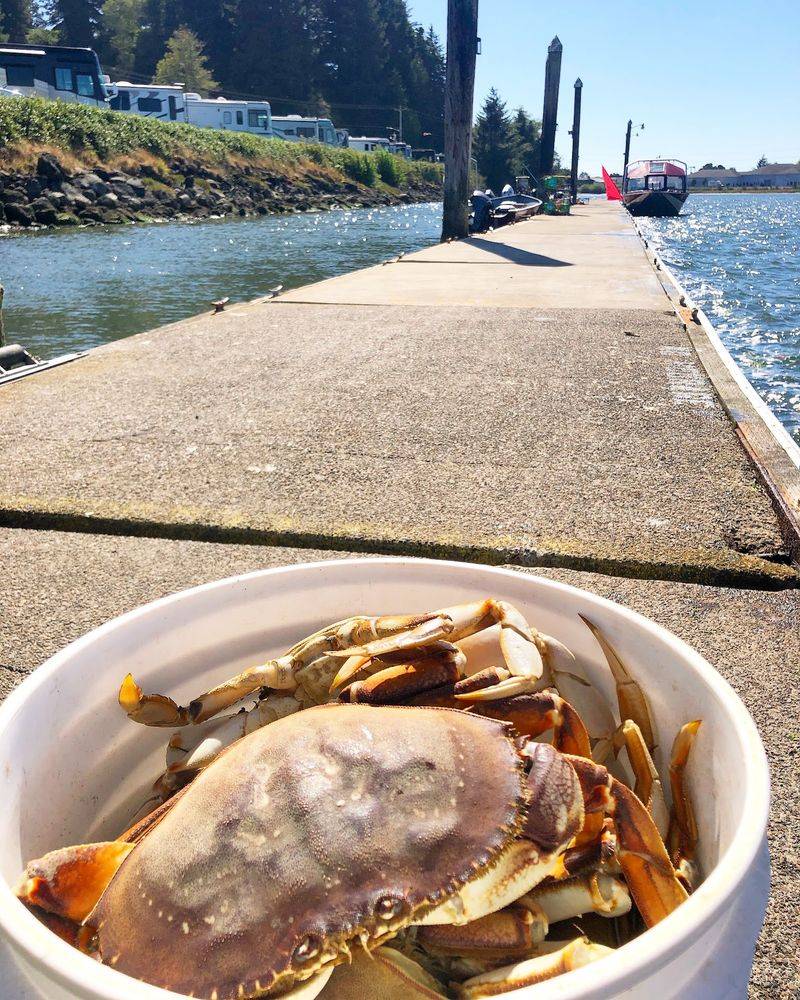 From Dock to Dinner Pot From Dock to Dinner Pot