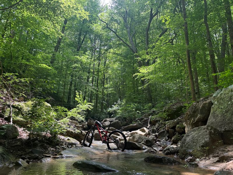 From Easy Forest Rides to Heart-Pounding Descents
