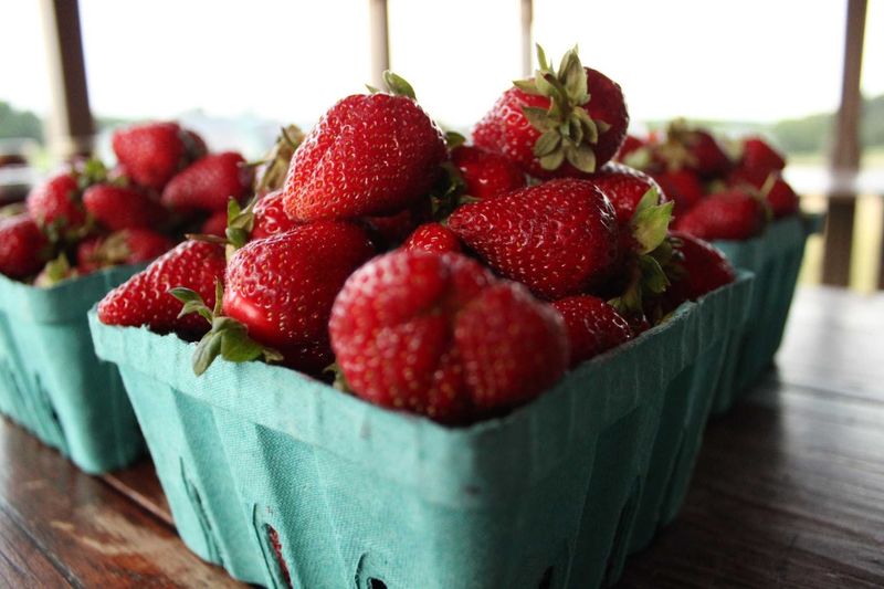 From Field Basket to Kitchen Table From Field Basket to Kitchen Table