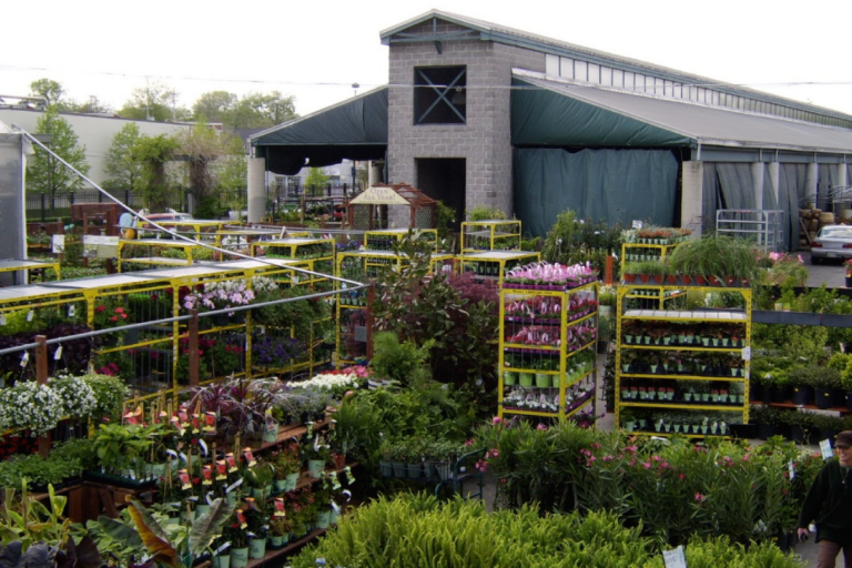 From Rare Plants to Unique Pottery, This Tennessee Garden Center Has It All