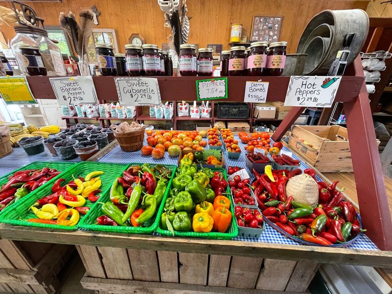 Garden Vegetables Sneak Into Your Basket Too