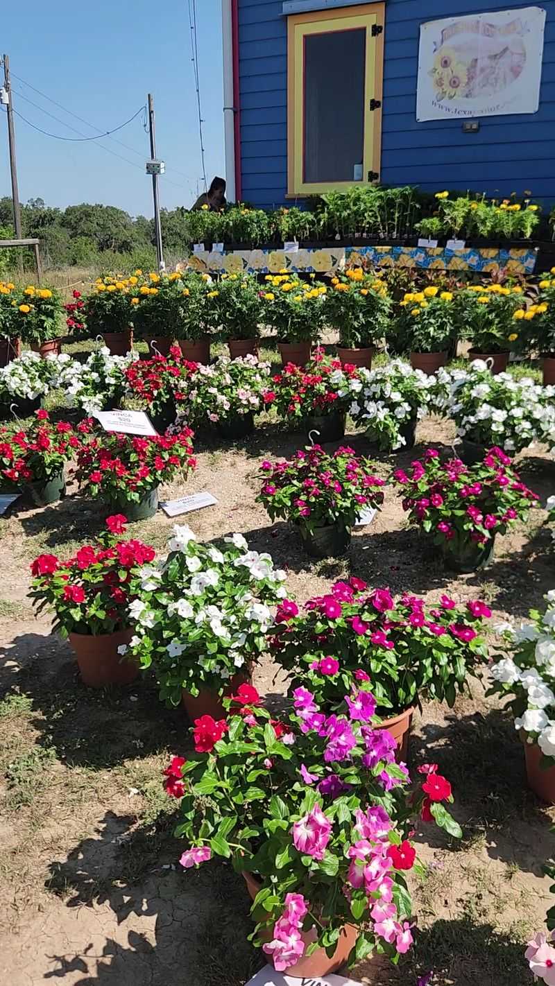 Gardeners, Clear Some Room In The Trunk