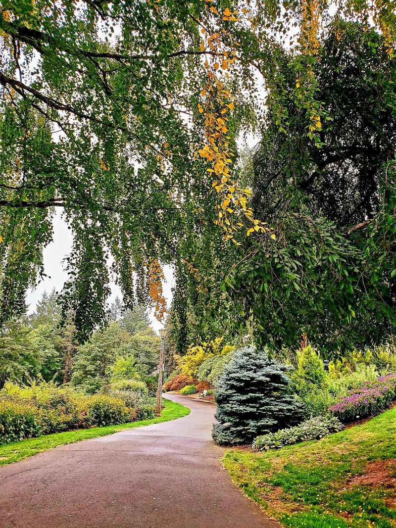 Gardens, Benches, and That Mount Hood View