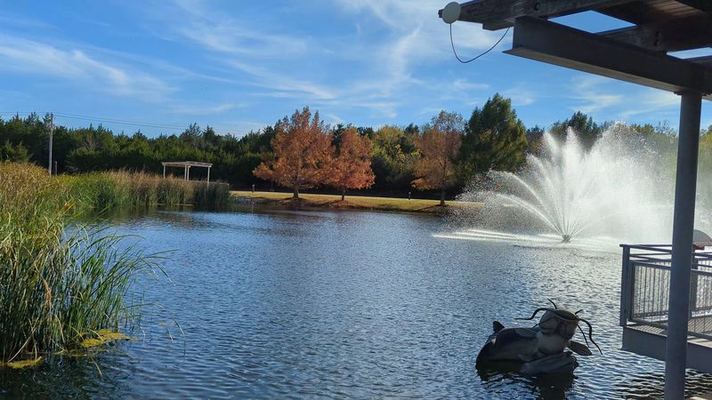 Gardens, Turtles and Little Surprises
